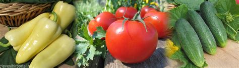 különböző magok, köztük paprika, paradicsom és uborka