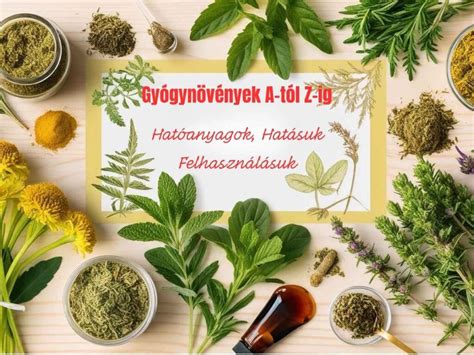 Gyógynövények felhasználása teákban