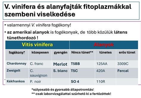 bor és ételek táblázat