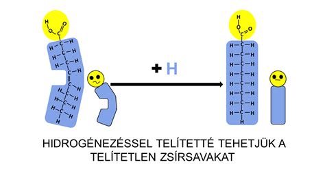 Sajtok telített zsírsav tartalma diagram