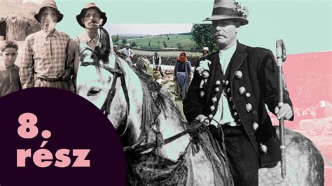 Illusztráció a húsrészek régi magyar elnevezéseiről