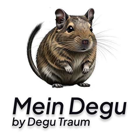 Degu szociális interakciók