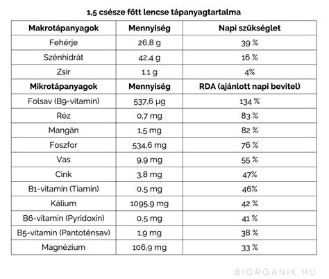 Lencse tápanyagtartalma infografika