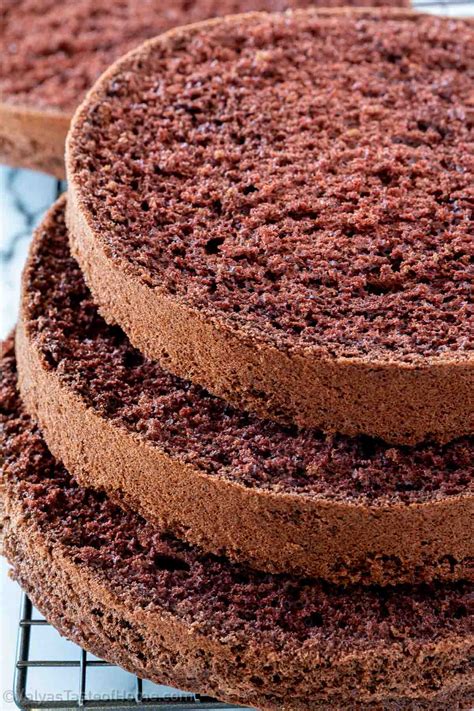Chocolate sponge cake layers