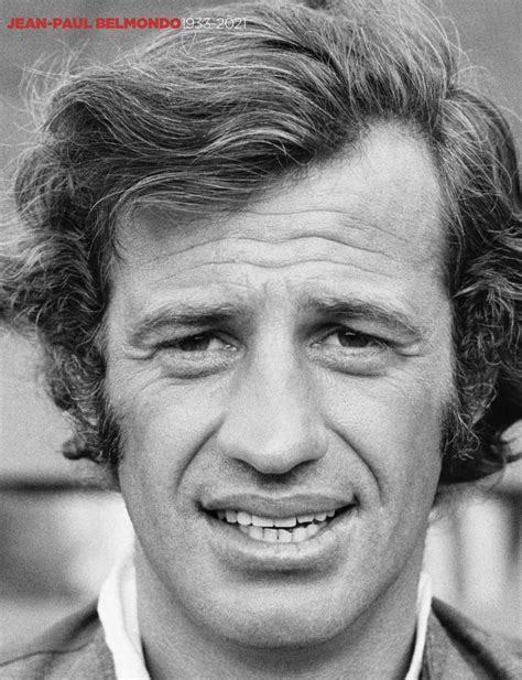 Jean-Paul Belmondo portréja