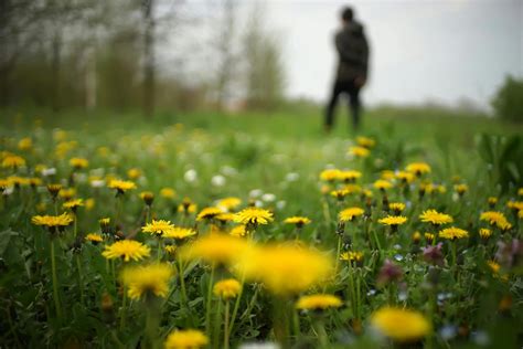 Könyvborító: Detox Wellness - Tavaszi megújulás kívül-belül