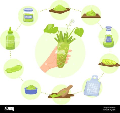 Wasabi termesztési útmutató infographics