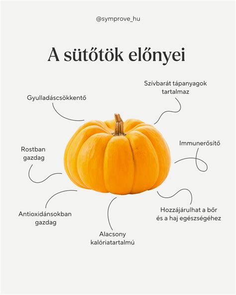 Sütőtök egészségügyi előnyei infografika