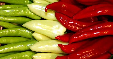Magyar paprika a mezőn