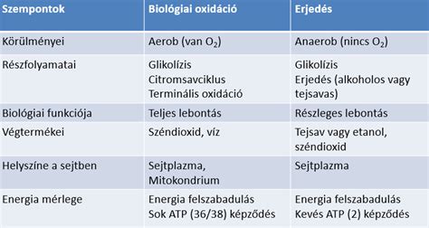 Paleolit táplálkozás és anyagcsere folyamatok