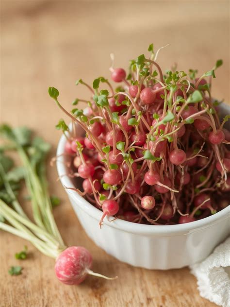 Illusztráció a rostok emésztőrendszerre gyakorolt jótékony hatásairól
