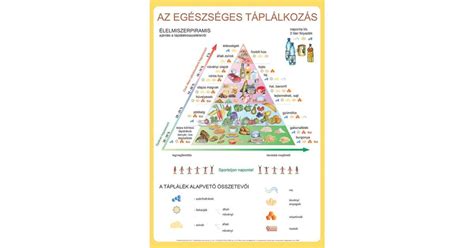 Kalóriaégetés és táplálkozás grafikon