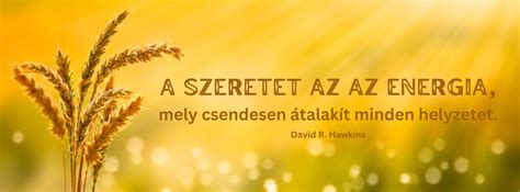 A tudatos életmód és a mentális egyensúly folyamata egy ábrán