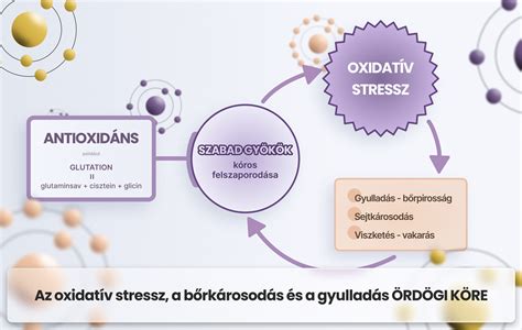 Az oxidatív stressz és a szabad gyökök semlegesítése brokkoli hatóanyagaival
