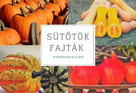 Sütőtökös ételek és a nagydobosi fajta jellegzetes formája