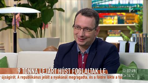 Romlott hús a kukában