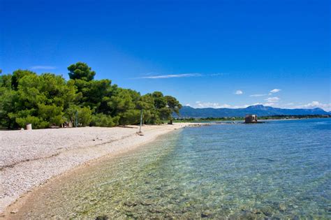 A Pantan strand fenyőfákkal