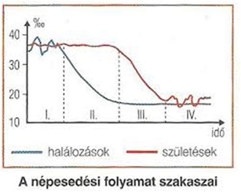 Grafikon a kalóriabevitel és a fogyás összefüggéséről