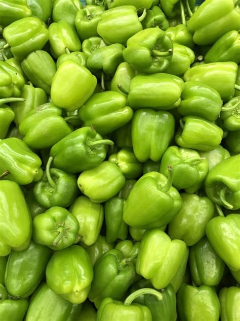 friss zöld kaliforniai paprika piacon