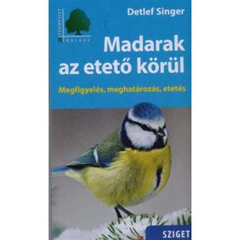 kiscsibék az etető körül