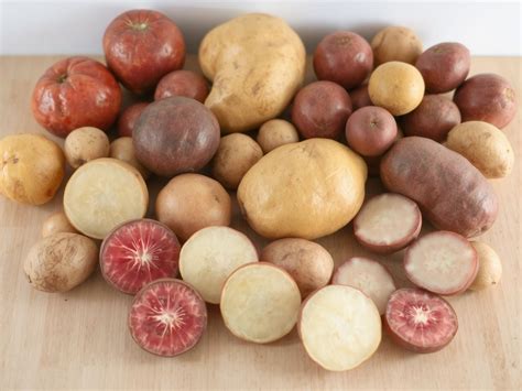 különböző burgonyafajták