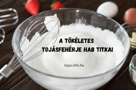 tojásfehérje habverése cukorral