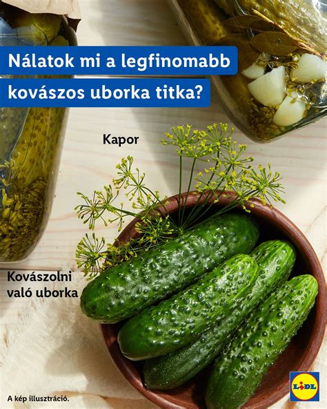Uborka és kapor frissen