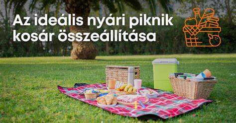 Fenntartható nyári életmód és piknik