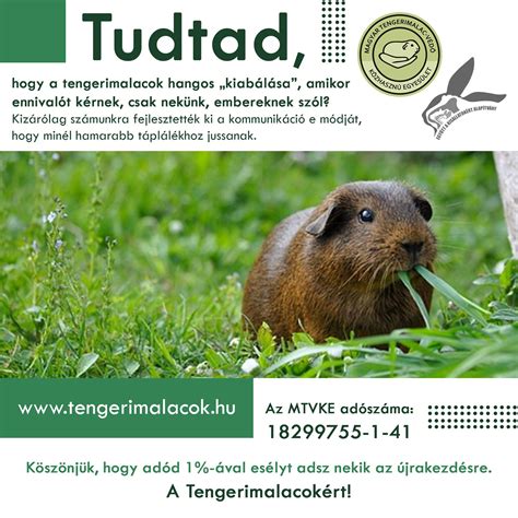 Sprotnihal a természetes élőhelyén