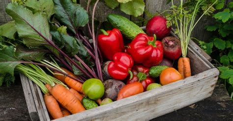 friss zöldségek és fűszerek