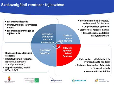 keményítős szósz sűrűsödési folyamatának bemutatása