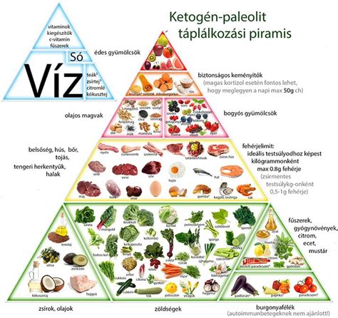 A paleolit diéta alapelveit bemutató infografika