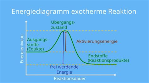 Pizzatészta fagyasztása és felolvasztása diagram