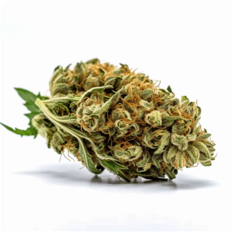 Solomatic CBD virágok