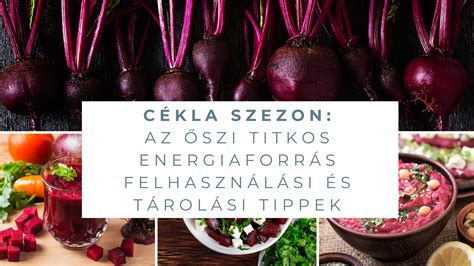 A cékla különböző felhasználási módjait bemutató táblázat