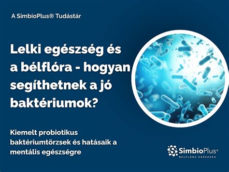 A bélflóra és az immunrendszer kapcsolata