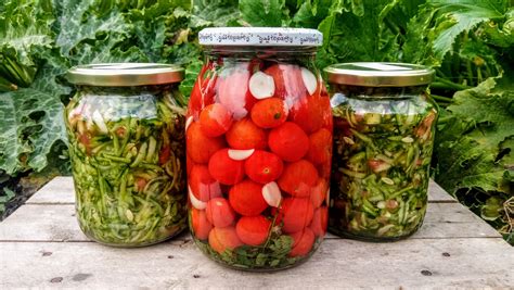 Fermentálás és ecetes savanyítás összehasonlító grafikon