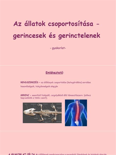 Különböző típusú túrók összehasonlítása az étrendi felhasználás tükrében
