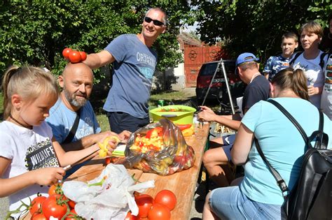 A Szentesi Lecsófesztivál logója, amely a paprika és paradicsom motívumokat ötvözi