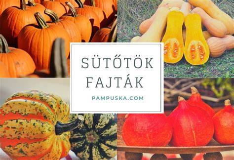 Sütőtök fajták