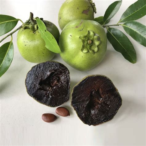 Black Sapota gyümölcs és fa