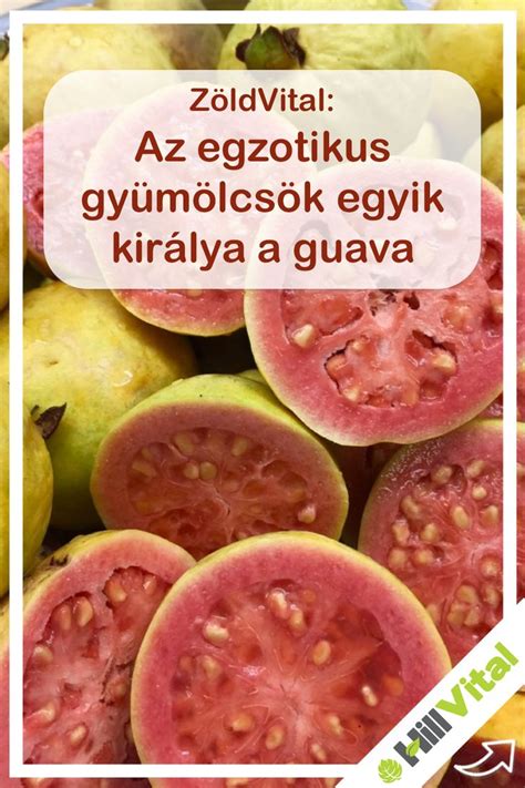 Guava gyümölcsök