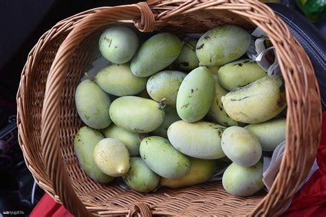 Pawpaw gyümölcsök