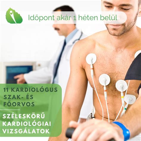 Kardiológiai vizsgálatok áttekintése