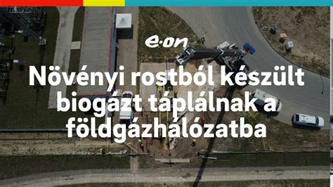 Silphia rostból készült csomagolóanyagok