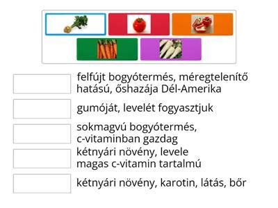 zöldségfélék csoportosítása