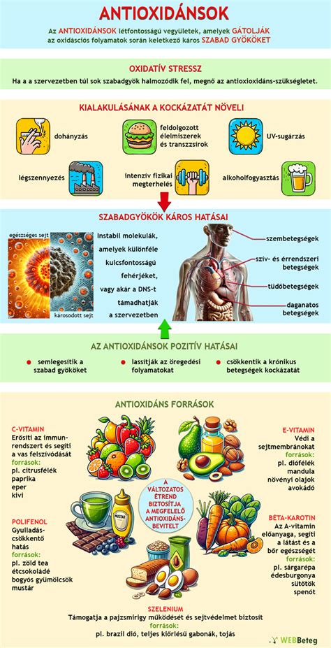 antioxidánsok szerepe a szervezetben