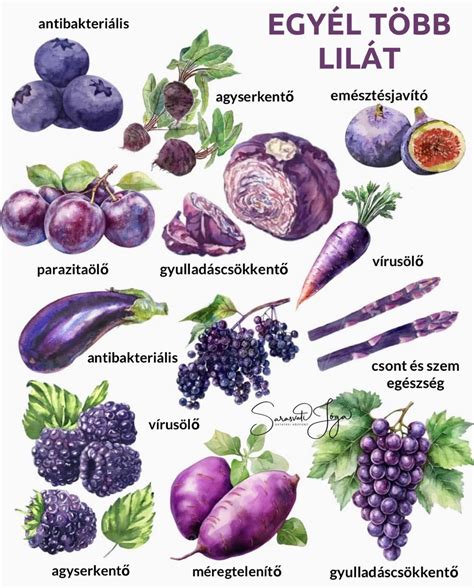 Különböző zöldségek, köztük cékla, sárgarépa, káposzta