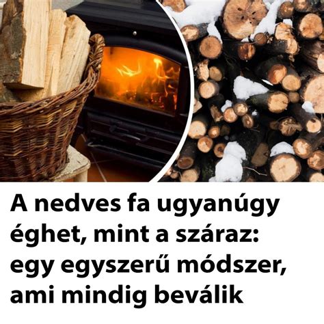 Száraz és nedves fa összehasonlítása