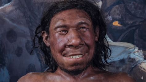 neandervölgyi rekonstrukció